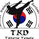 logo_tdk_veneto_blk_koreaflag1